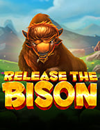 รีวิวเว็บ พนัน เปิด ใหม่ ที่ห้ามพลาด!